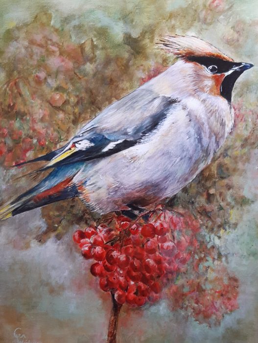 Pestvogel