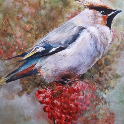 Pestvogel