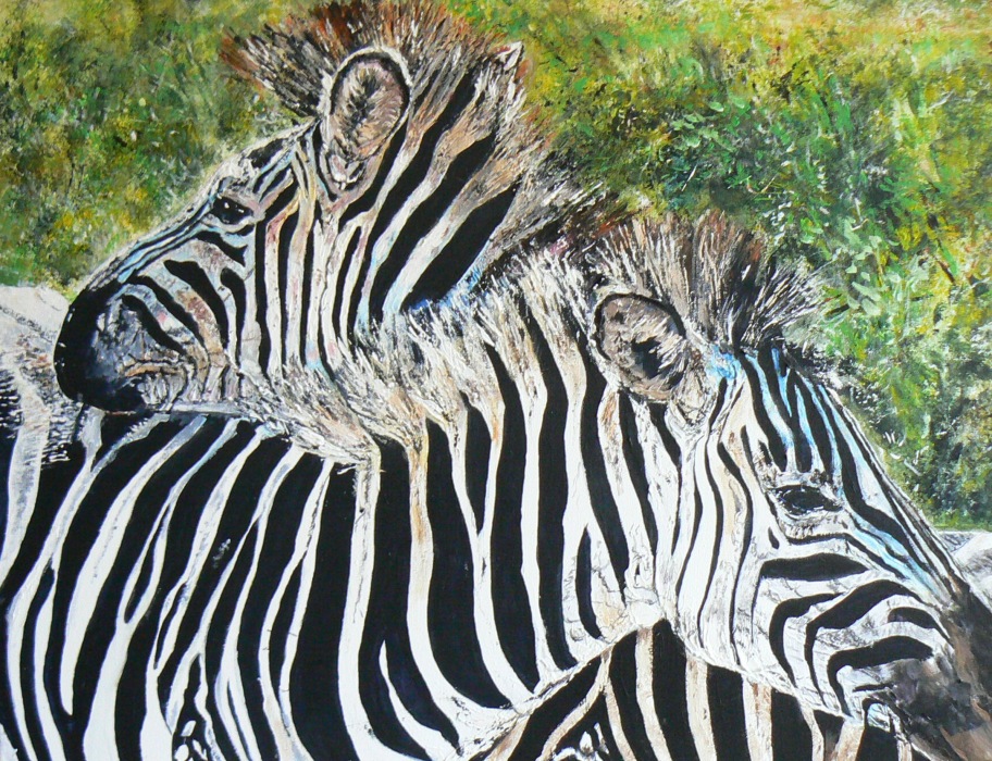 Zebra en zebra