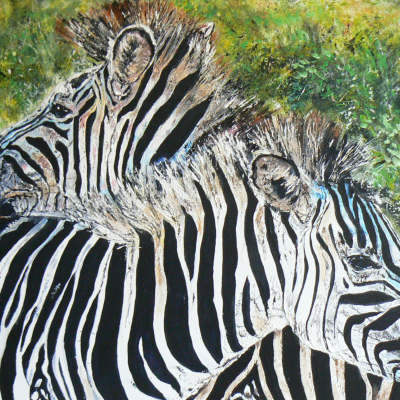 Zebra en zebra
